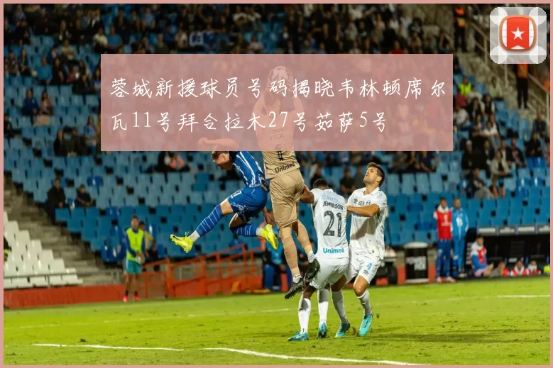 蓉城新援球员号码揭晓韦林顿席尔瓦11号拜合拉木27号茹萨5号
