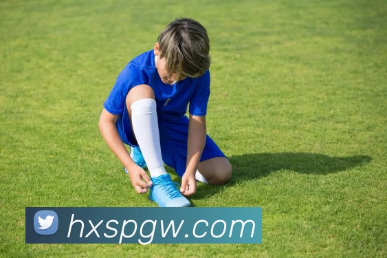 海星体育官网发展历程